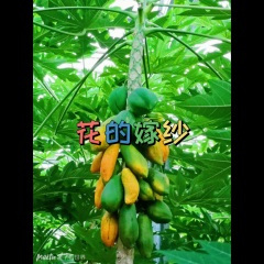 有没有人和我一样 (风景版)