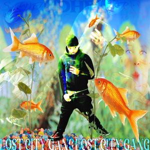 Pearl (Leo TV Comms)