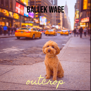 Ballek Wage
