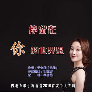 停留在你的世界里-梅春莲