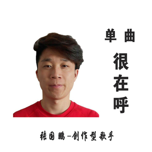 很在乎伴奏-张国鹏
