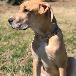 Magic (Intro)