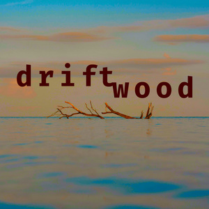 driftwood