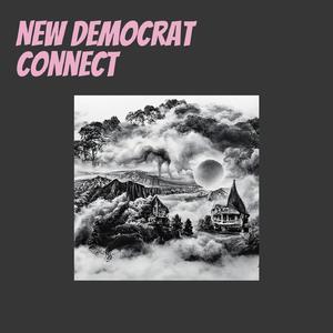 New Democrat Connect