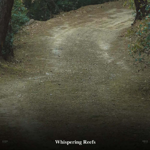 Silent Nature Sounds