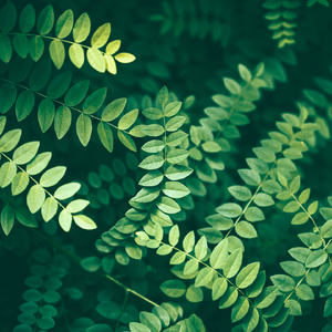 钢琴白噪引领的入眠之境