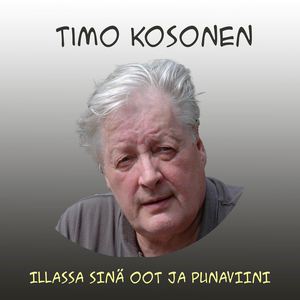 Illassa sinä oot ja punaviini