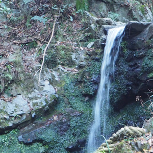 なんのために頑張っているのだろうか