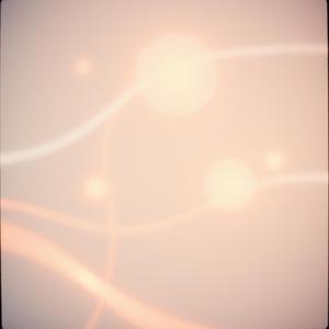 Every Cell Is A Temple