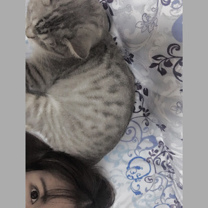 路口 （Cover张震岳）（翻自 胡桃）