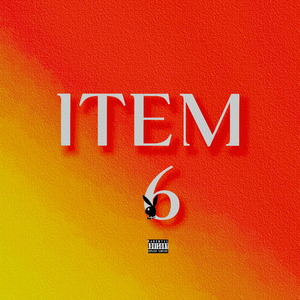 ITEM 6