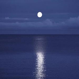 蜜雪冰城甜蜜蜜