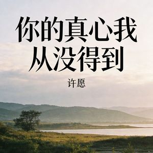 你的真心我从没得到_伴奏