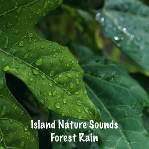 In Harmony with the Rain