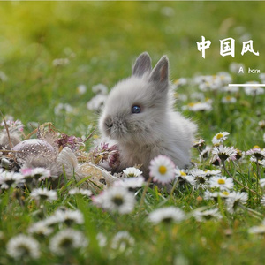 墨染江南袖 伴奏