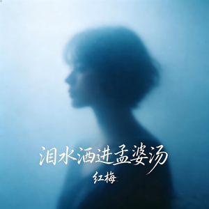 泪水洒进孟婆汤