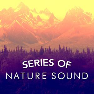 The Birds in the Trees