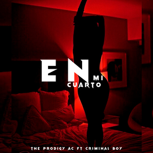 En Mi Cuarto (Remix)