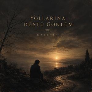 YOLLARINA DÜŞTÜ GÖNLÜM