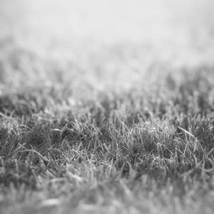 一尘不染梦印象数