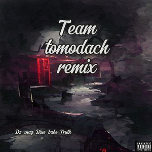Team tomodachi（Truth / Dz_snag / blue_Babe remix）