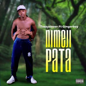 Nimejipata (feat. Ginger boy tz)