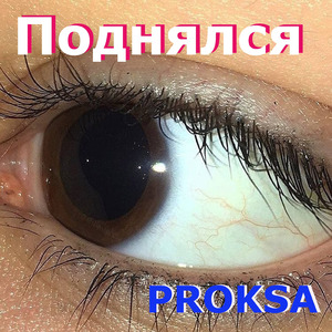 Поднялся