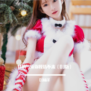 我的气质你模仿不来（DJ版）