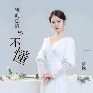 我的心情你不懂