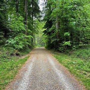 De Wäg zrugg zu mir