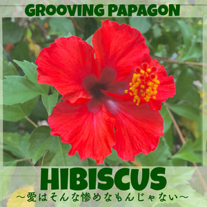 HIBISCUS ～愛はそんな惨めなもんじゃない～