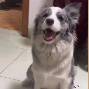 归乡