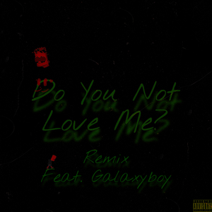 Do You Not Love Me? - Remix