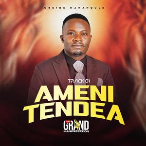 Amenitendea