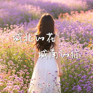 城北的花 城南的你