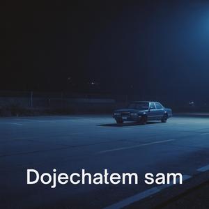 Dojechałem sam
