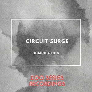 Never See Me Again (Original Mix Minimal)