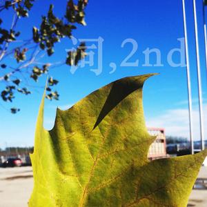 杀死了一个沂源人