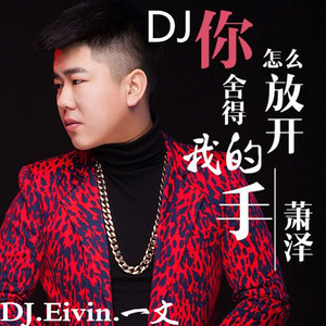 【萧泽】你怎么舍得放开我的手(DJ.Eivin一文 Extended Mix)