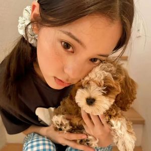 梅飘香十里-整曲