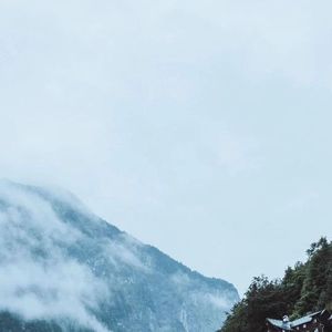 你以为你手段高明只不过是我心甘情愿