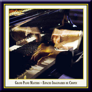 Piano Sonata No. 2 in B-flat minor Opus 35 - (3) Marche Funebre