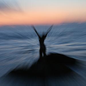 Same Soul (Lost in Paradise)