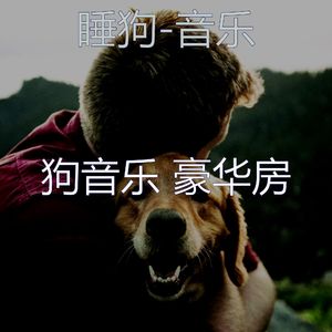 狗午睡(环境)