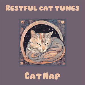 Safe Space Sounds for Cats