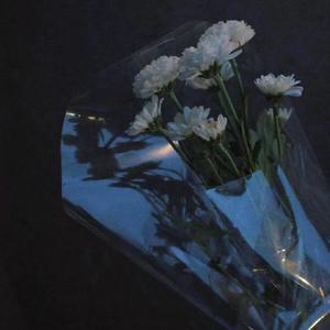 小城夏天（女生版）