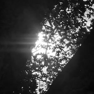 Diary Entry 1 (Flip)