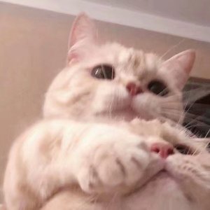 后顾_135935_track0_135935