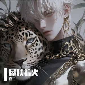 屋顶着火（cover：宋茜）