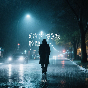 《声声慢》戏腔版